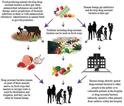 A State-of-Art Review on Multi-Drug Resistant Pathogens in Foods of Animal Origin: Risk Factors and Mitigation Strategies